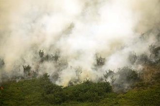 Fogo no Pantanal