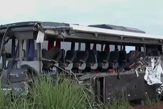 Ônibus