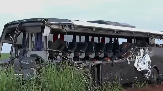 Ônibus