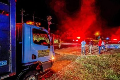 Cavalo é sacrificado e 7 são detidos em operação policial no PI. Foto: Divulgação